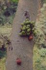 unit11 I can climb
